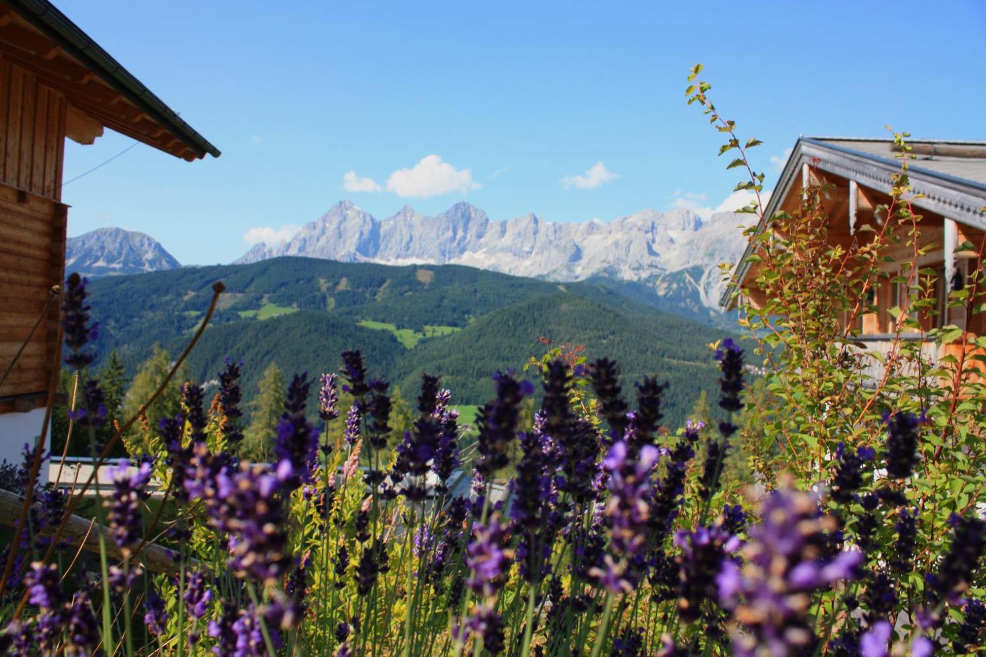 Alpine-Lodge Schladming Phòng bức ảnh