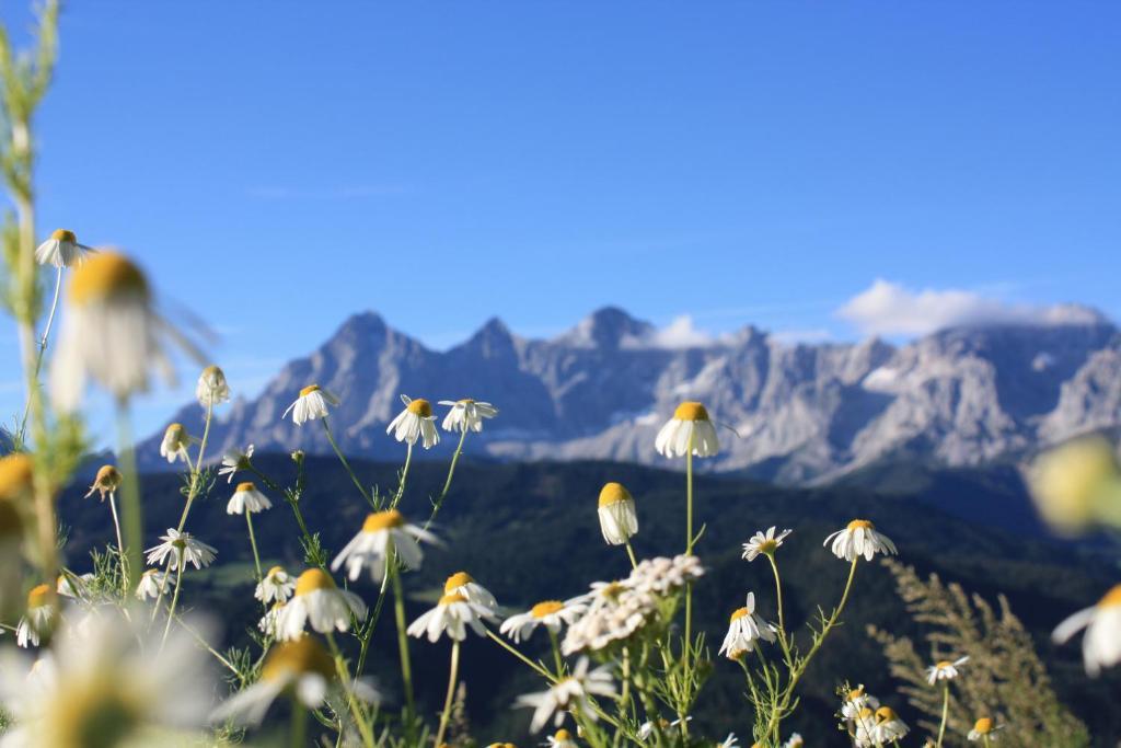 Alpine-Lodge Schladming Ngoại thất bức ảnh